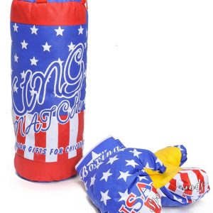 Set da boxe sportivo con guanti modello america