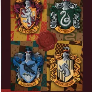 Puzzle case di Hogwarts 1000 pezzi