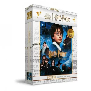 Puzzle Harry Potter e la pietra Filosofale  effetto 3D - 100 Pezzi