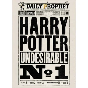 Harry Potter Poster - Mandato di Cattura di Harry Potter