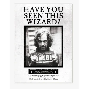 Harry Potter Poster - Sirius Black Wanted