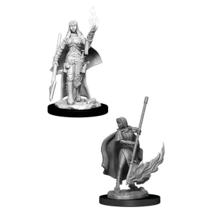 Wizkids Miniature Pathfinder Battle - Oracolo Umano Donna